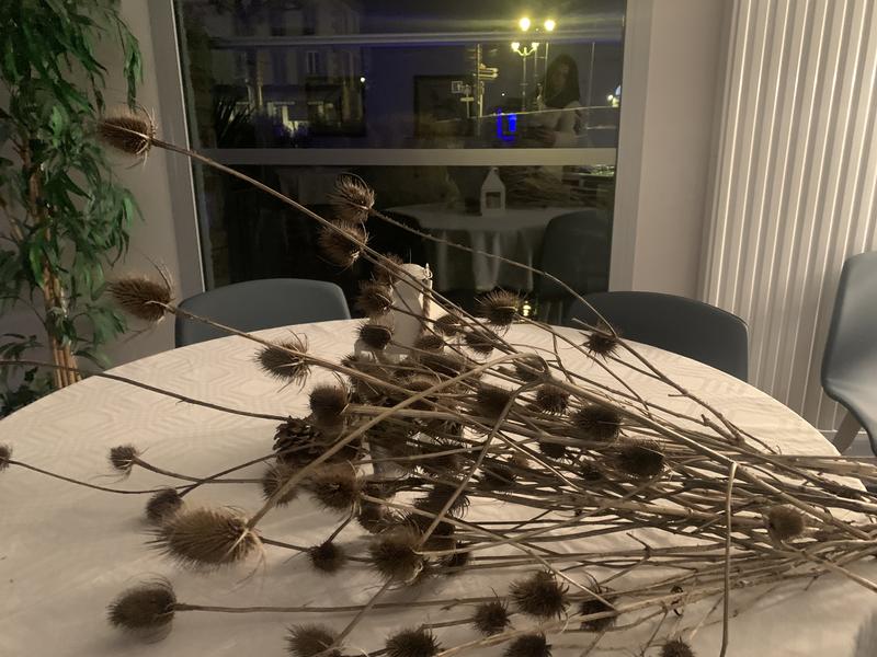 Hôtel Restaurant les Rives du Haut Salat