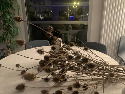 Hôtel Restaurant les Rives du Haut Salat