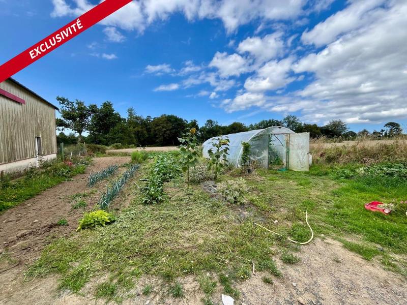 Maison de campagne - 150 m² - 5 pièces