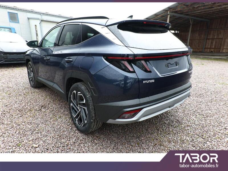 Hyundai Tucson 215 4wd Matrix Hud Krell Acc 19p