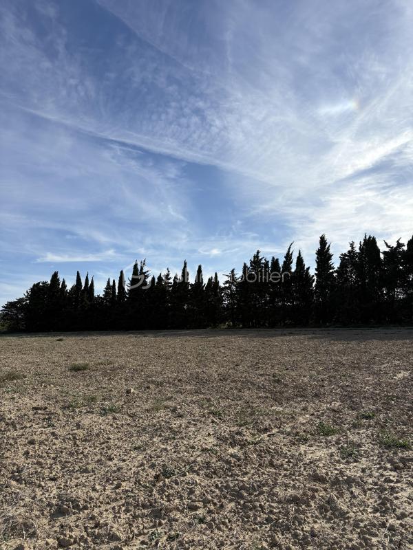 Terrain agricole - 15 000 m²