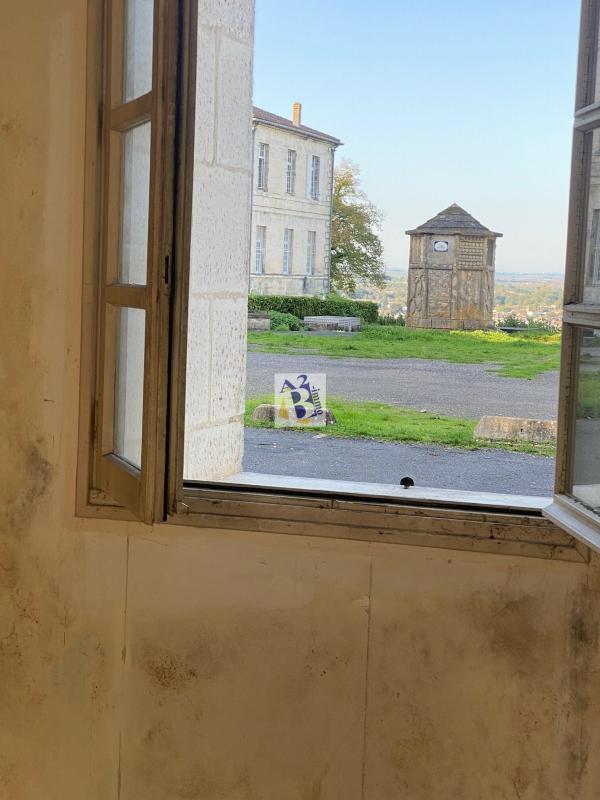 Hôtel particulier - 330 m² - 10 pièces