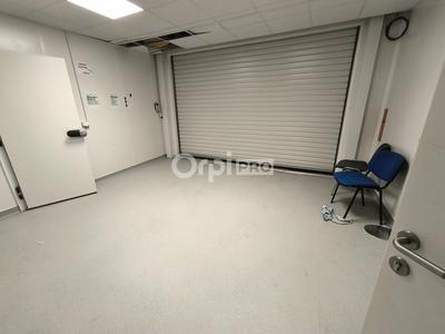 Local d'activité / Entrepôt - 1 500 m²