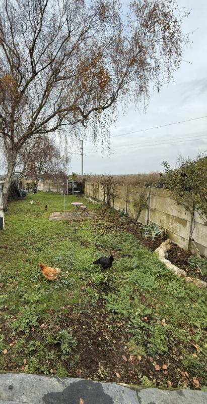 Maison - 160 m² - 8 pièces