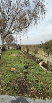 Maison - 160 m² - 8 pièces