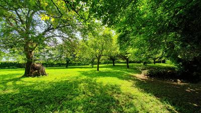 Maison de maîtres - 186 m² - 8 pièces