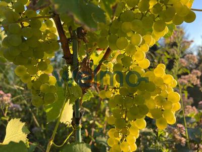 Maison - 150 m² - 3 pièces