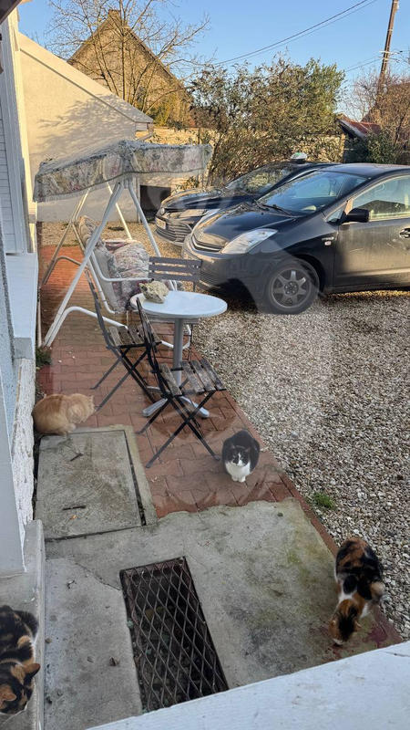 Maison - 161 m² - 7 pièces