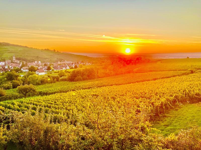 Appartement - 96 m² - 4 pièces