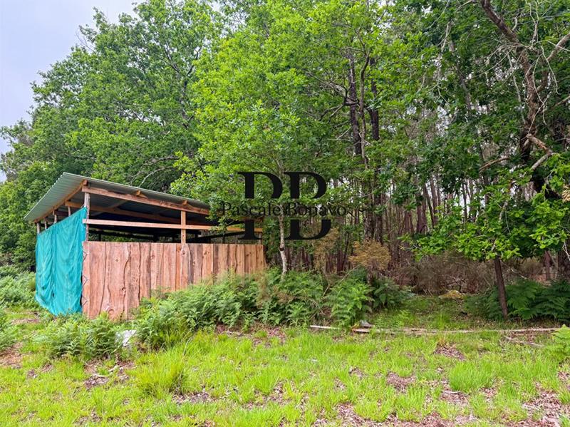 Terrain de loisirs - 2 327 m²