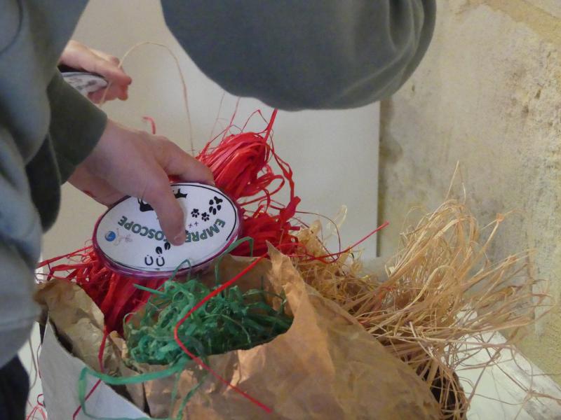 Création d'un empreintoscope à Terres d'Oiseaux