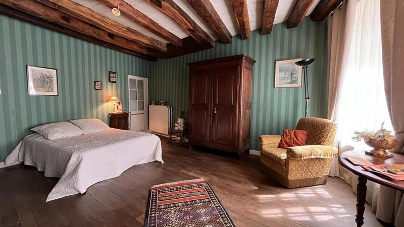 Hôtel particulier - 250 m² - 7 pièces