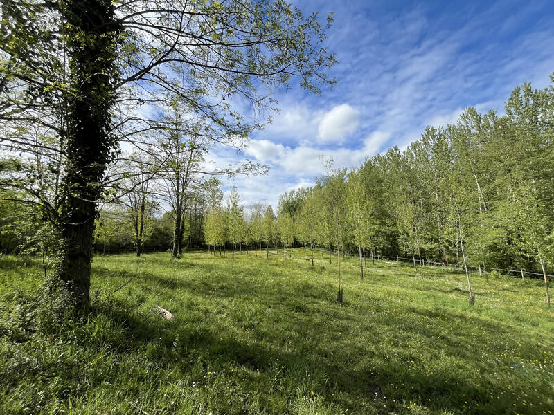 Maison - 88 m² - 5 pièces