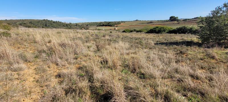 Terrain agricole - 4 870 m²