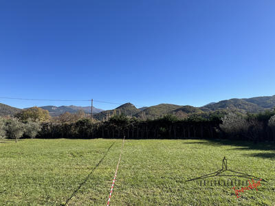 Terrain - 1 231 m²