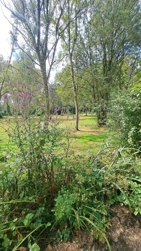 Châlet - 85 m² - 4 pièces