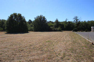 Terrain constructible - 3 601 m²