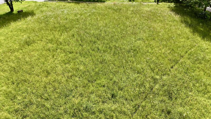 Terrain constructible - 1 500 m²