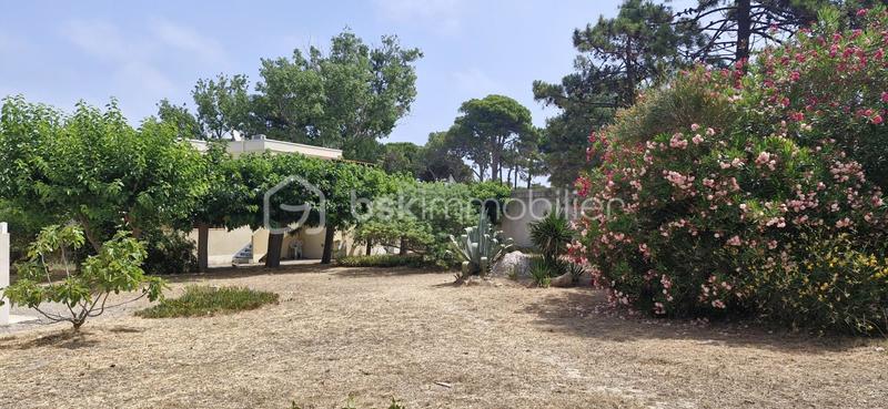 Appartement - 28 m² - 2 pièces