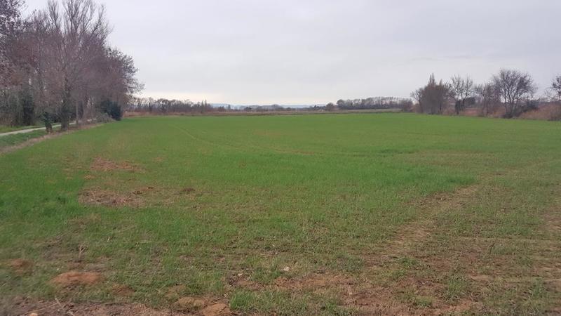 Terrain agricole - 19 460 m²