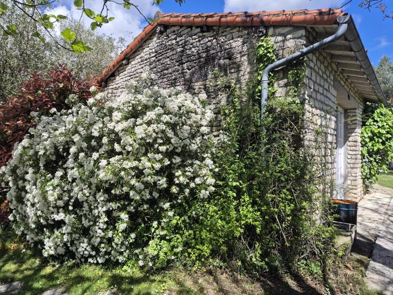 Maison en pierre - 231 m² - 9 pièces