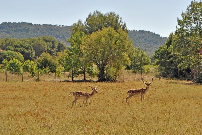 Manoir - 500 m² - 10 pièces