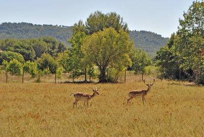Manoir - 500 m² - 10 pièces