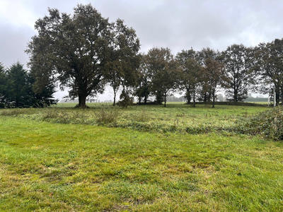 Maison - 173 m² - 6 pièces