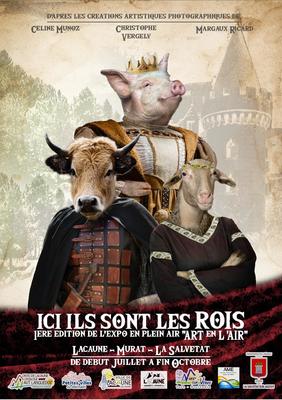 Art en l'Air &quot;Ici, ils Sont les Rois&quot; - la Salvetat-Sur-Agout