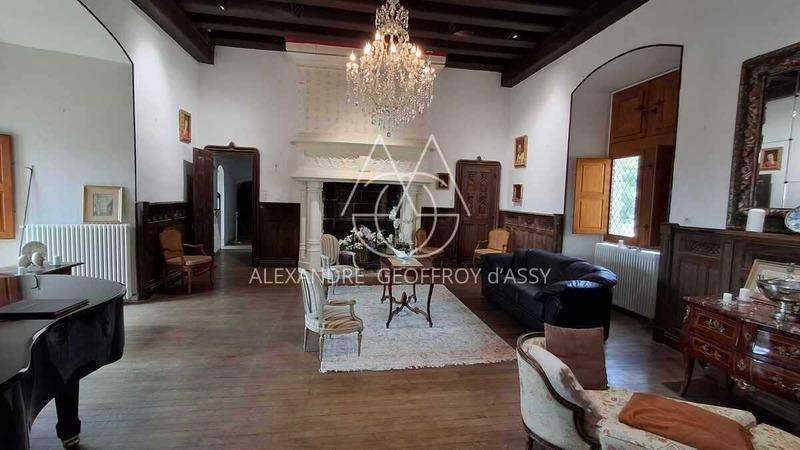 Château - 3 000 m² - 16 pièces