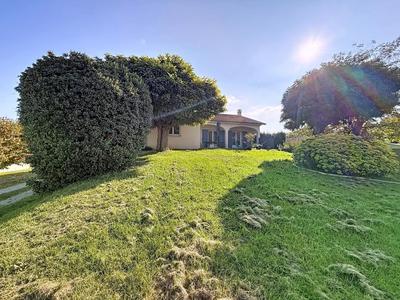 Maison - 230 m² - 5 pièces