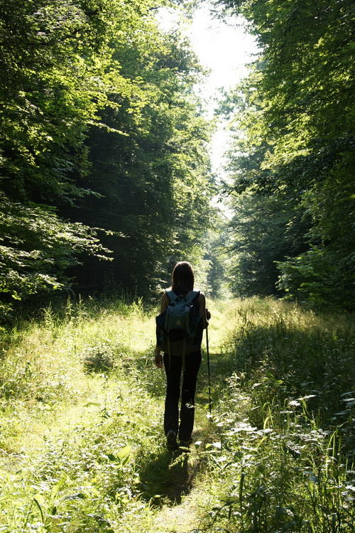 Balade nature - Histoire, légende et forêt