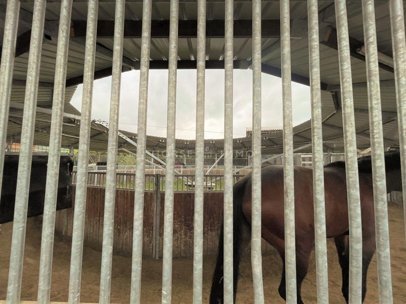 Maison - 330 m² - 10 pièces