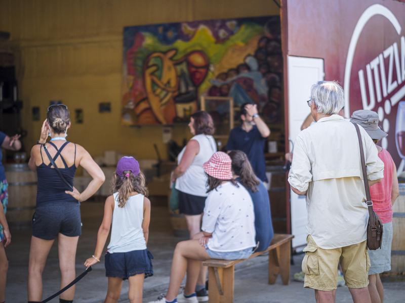 Balade dégustation  du domaine viticole Gutizia sur réservation