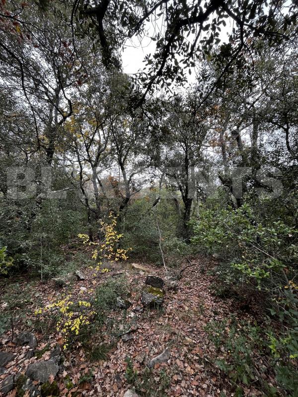 Terrain - 33 565 m²