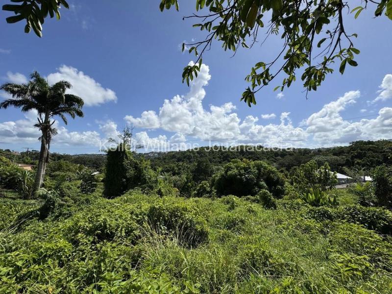 Terrain constructible - 3 500 m²