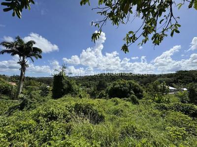 Terrain constructible - 3 500 m²