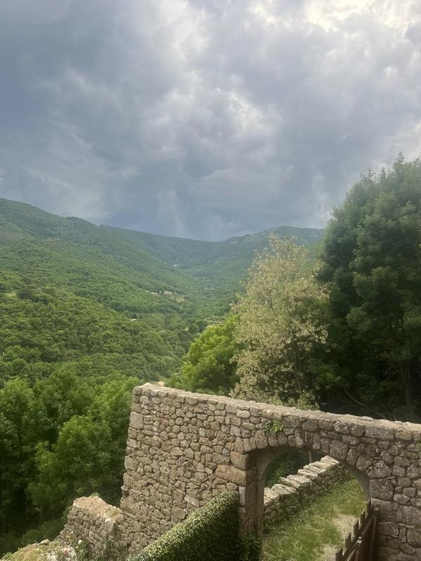 Château - 750 m² - 16 pièces