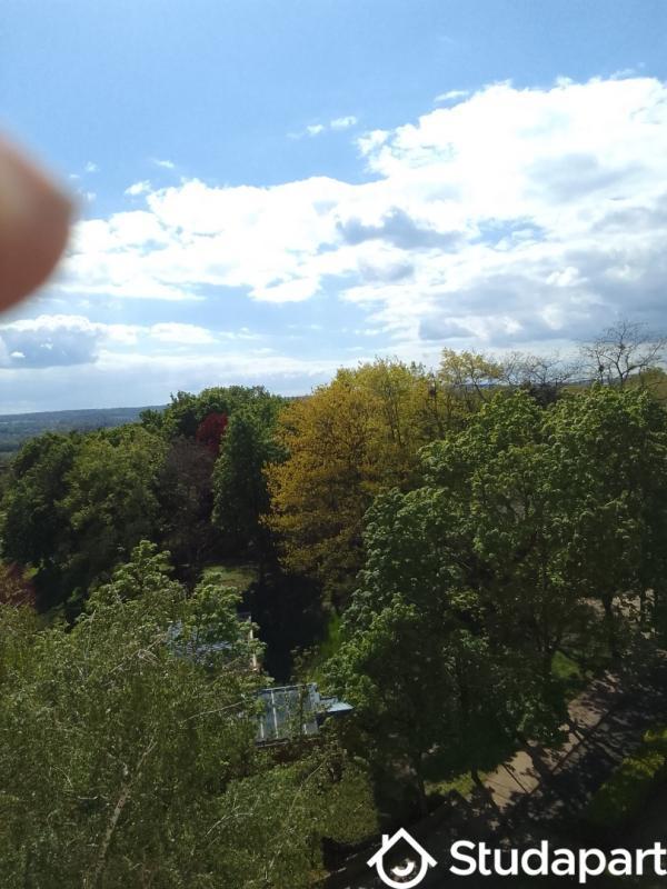 Chambre - 14 m² - 1 pièce