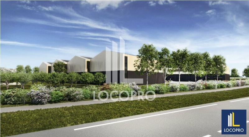 Local d'activité / Entrepôt - 445 m²