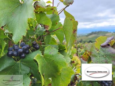 Terrain agricole - 27 297 m²