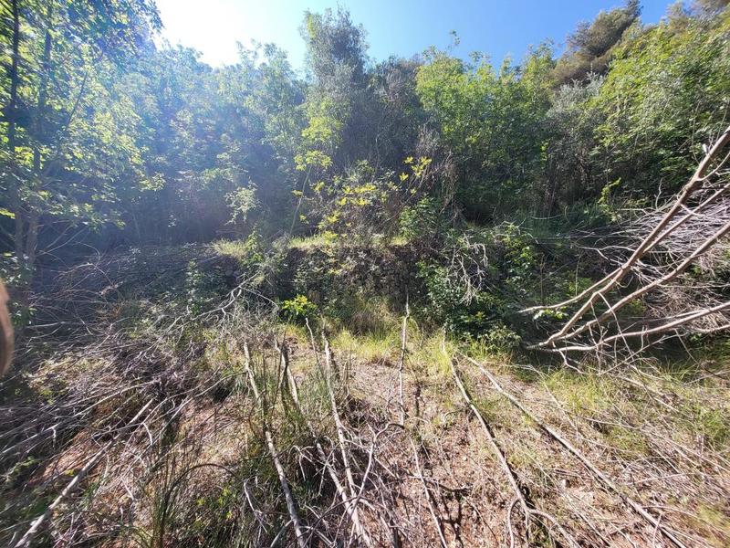 Terrain - 16 415 m²