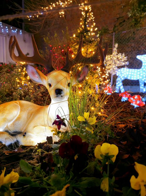 Les Dimanches Illuminés