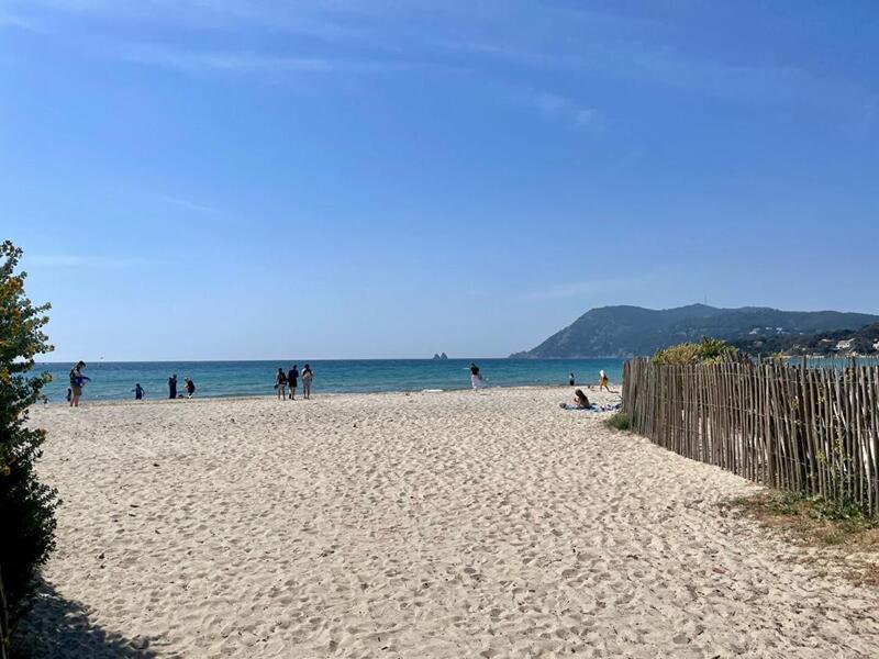 Appartement - 32 m² - 1 pièce