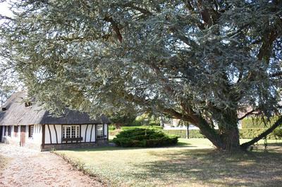 Chaumière - 105 m² - 6 pièces