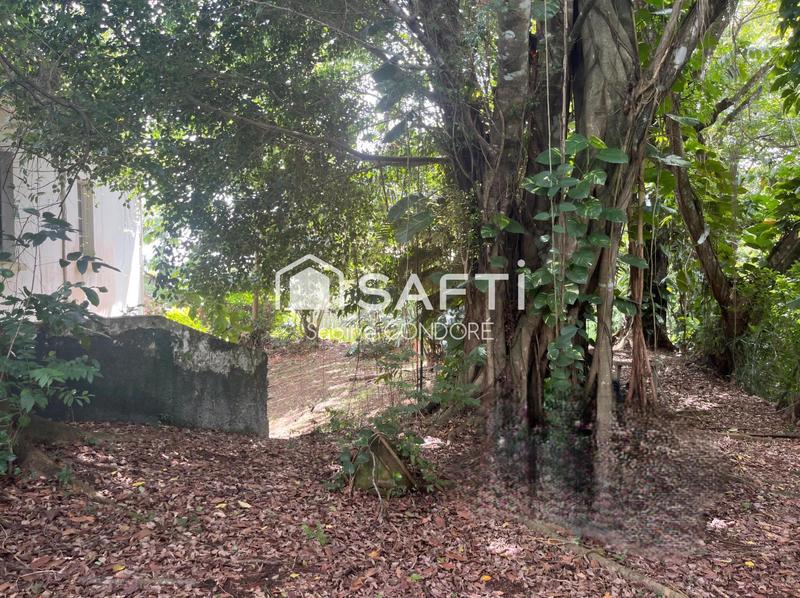 Villa - 350 m² - 12 pièces