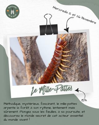 Les rencontres de novembre à l'Écomusée de la forêt