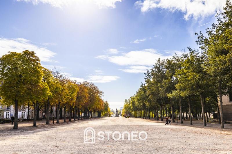 Appartement ancien - 248 m² - 7 pièces