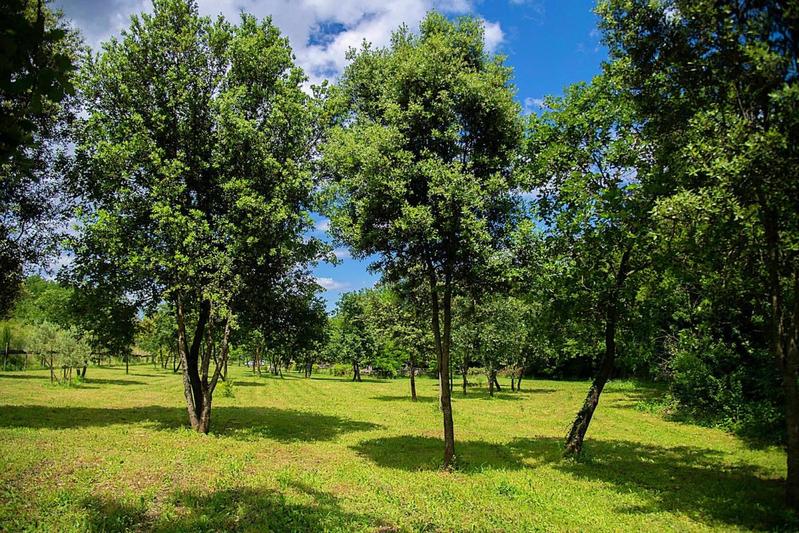 Demeure - 571 m² - 24 pièces