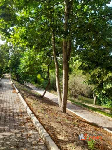 Maison - 300 m² - 8 pièces